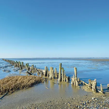 Praestekraven Romo Feriehus Romo