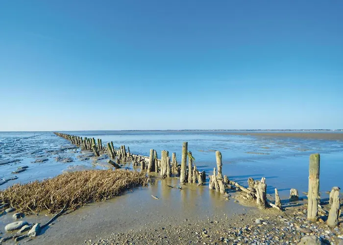 Praestekraven Romo Feriehus Romo